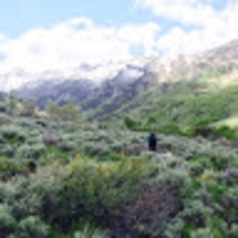 Meet your Posher, Martina